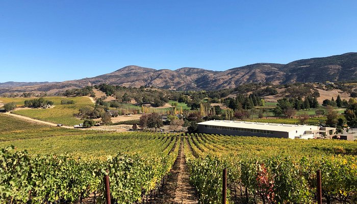 
                      
                        Shadybrook Estate Winery
                      
                    