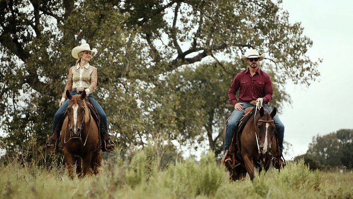 Highbrow Ranch