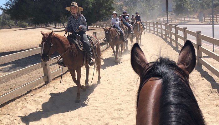 
                      
                        LA Horse Rentals
                      
                    