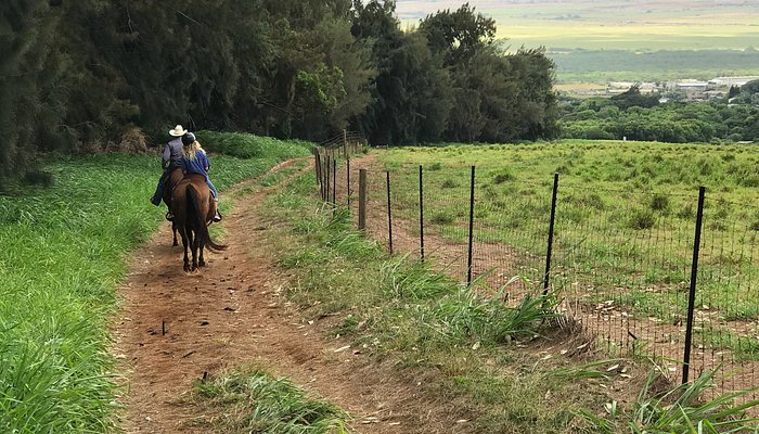 
                      
                        Makani Olu Ranch
                      
                    