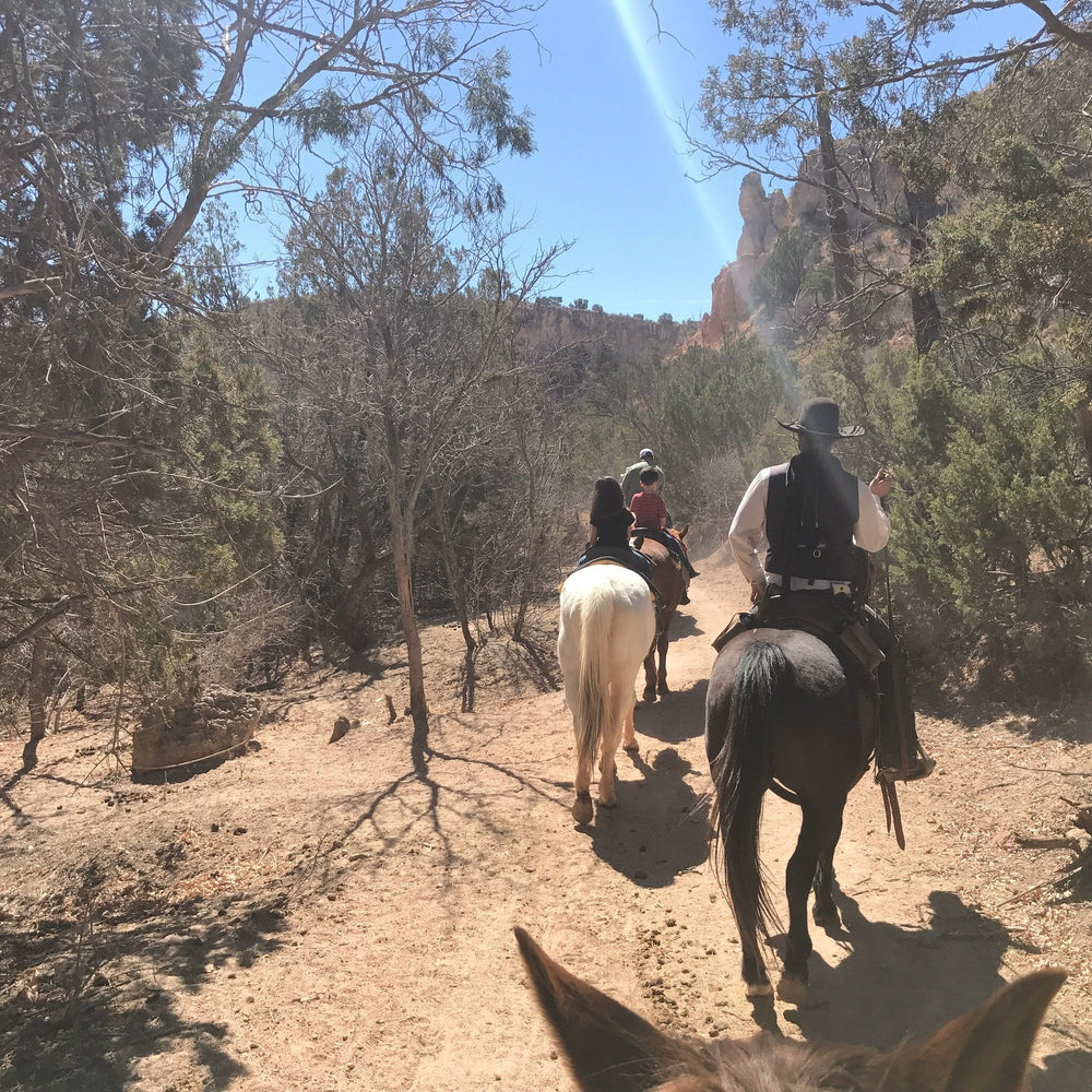 
                      
                        Palo Duro Riding Stables
                      
                    