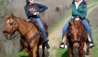 Prado Equestrian Center