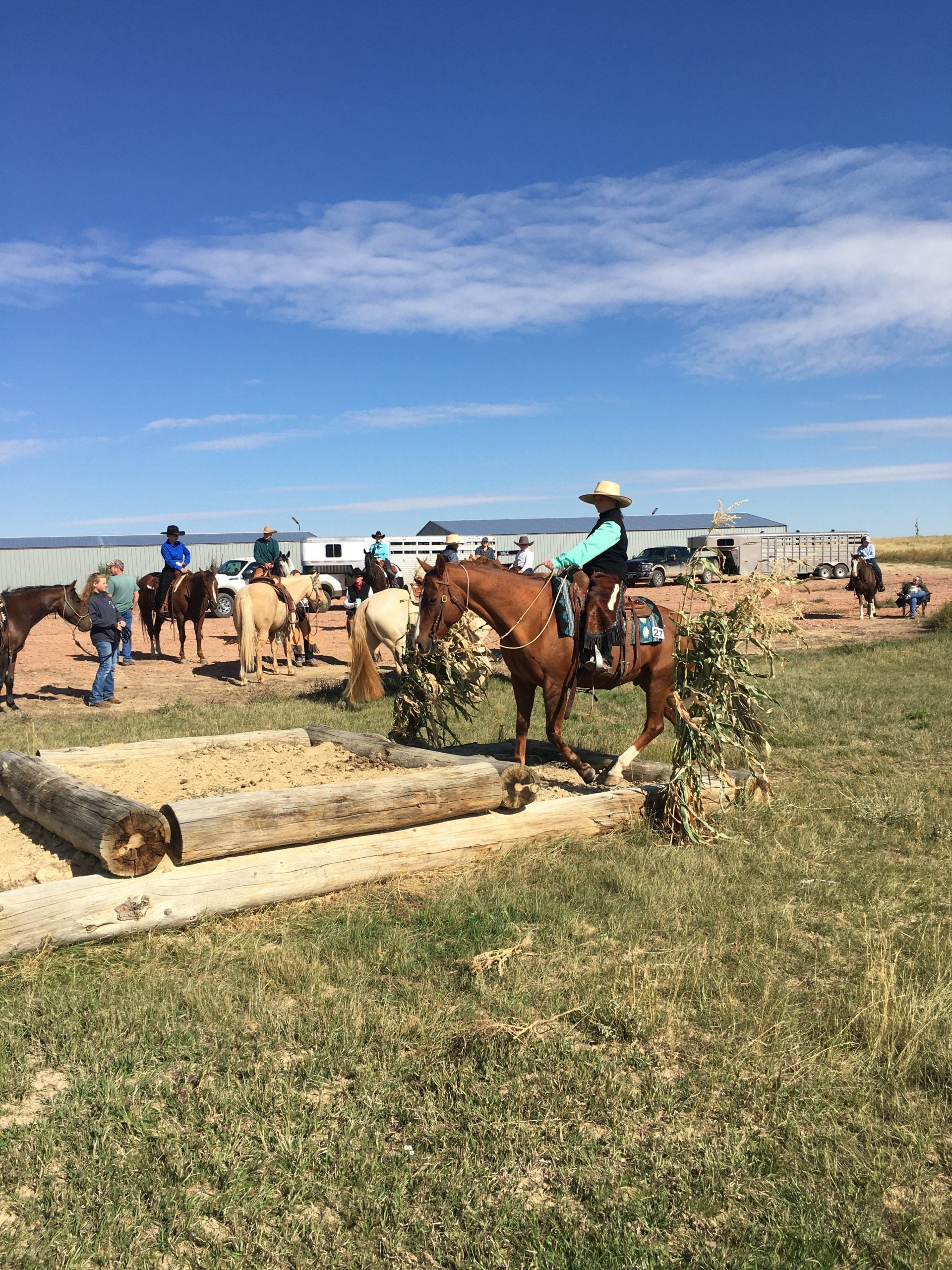 Kluz Performance Horses – EquineBooking.com