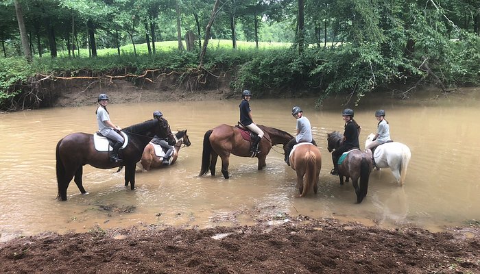 Trish Franks Riding School