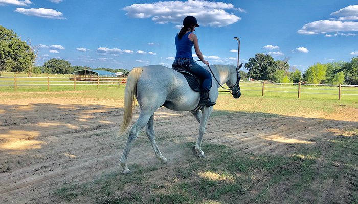Lake Fork Stables