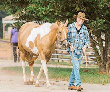 
                      
                        Southern Cross Guest Ranch
                      
                    