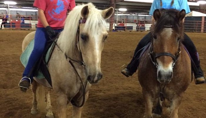 
                      
                        Louisville Equestrian Center
                      
                    