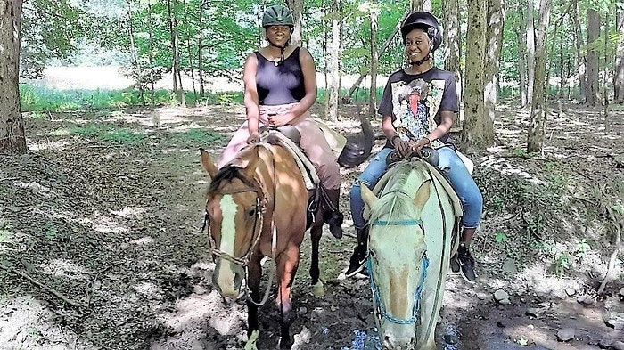 Rocke N Horse Farm