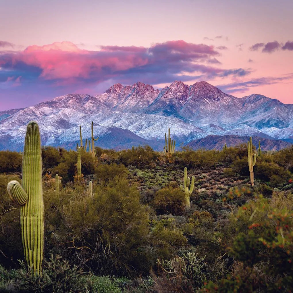 Rio Rancho Verde, Scottsdale , AZ
