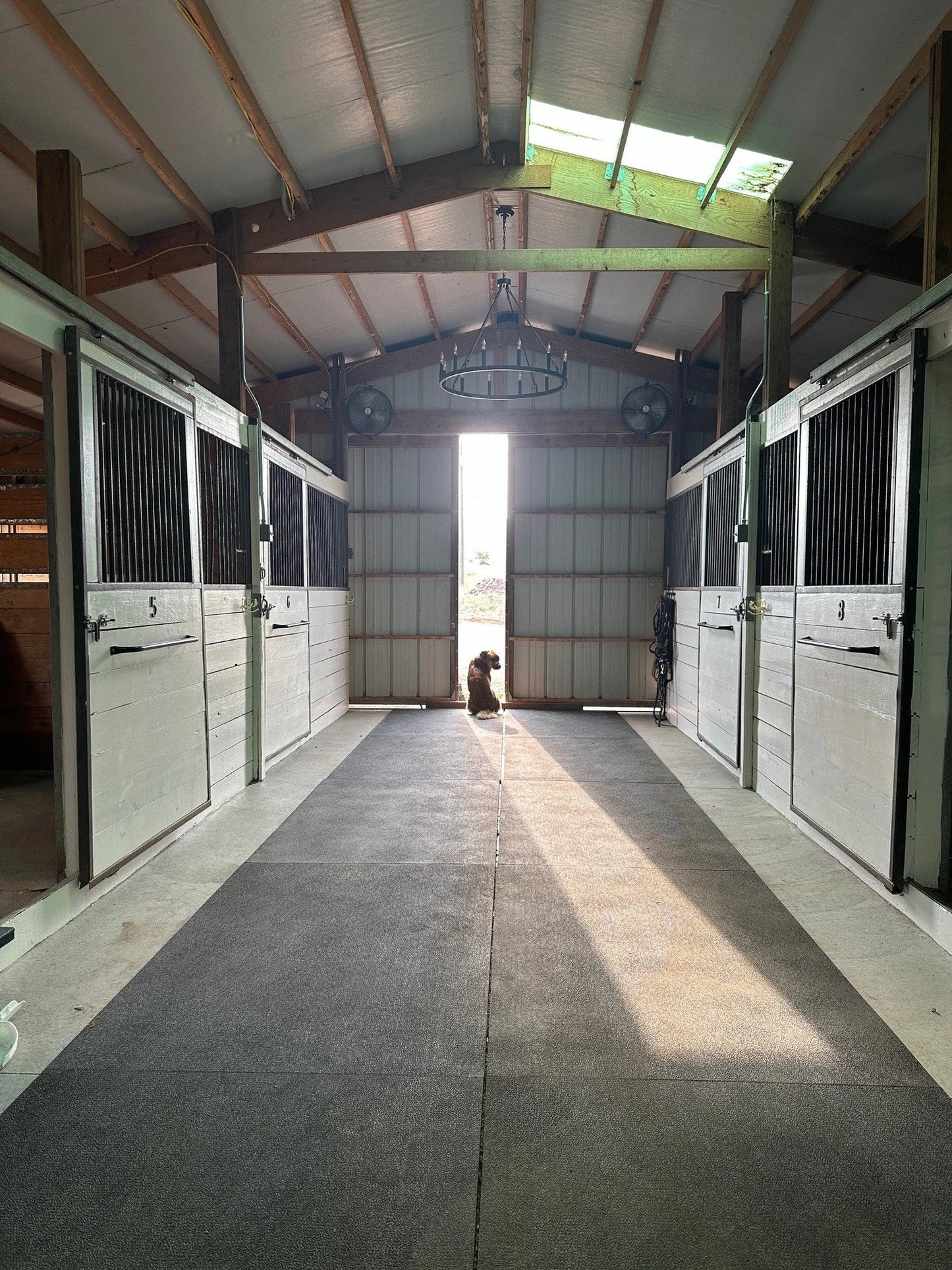 Wind Chase Stables - Laramie, WY