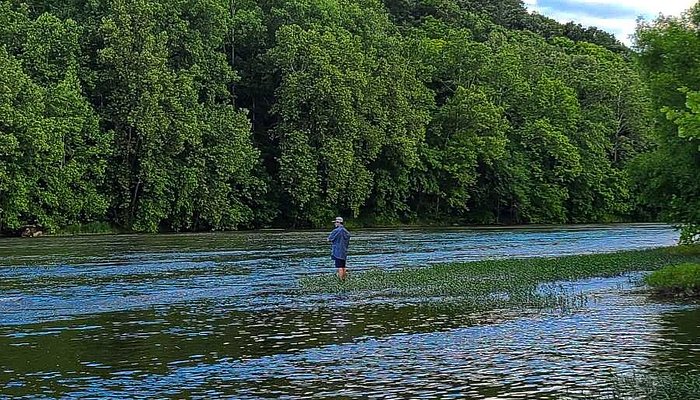 
                      
                        River's Bend Ranch
                      
                    
