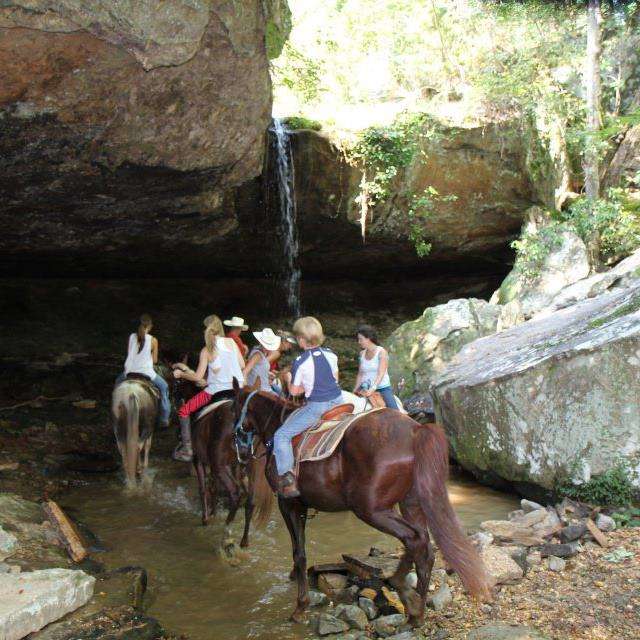 
                      
                        Hodges Horse Park
                      
                    