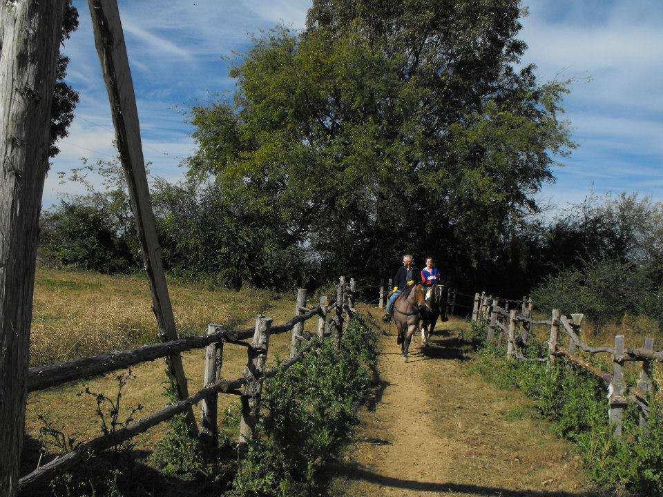 
                      
                        Hodges Horse Park
                      
                    