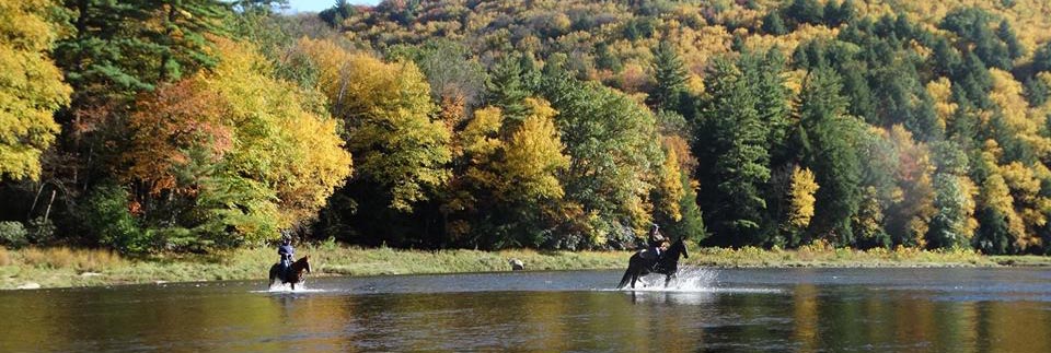 Cook Forest Area Scenic Trailride