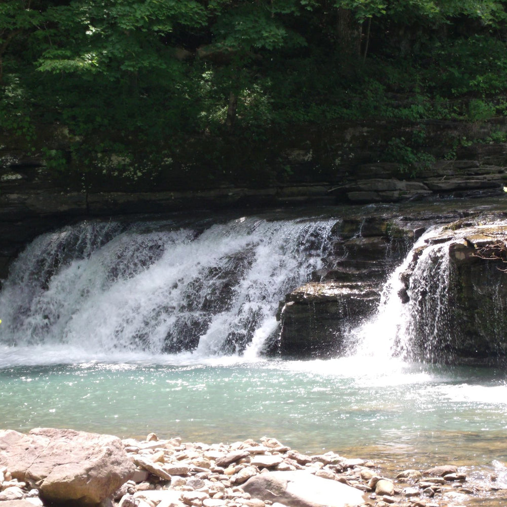 
                      
                        Falling Water Horse Camp
                      
                    