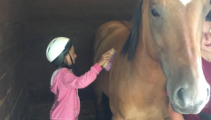 
                      
                        Cooperstown Equestrian Park
                      
                    