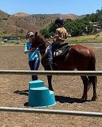 Equestrians Excellence LLC