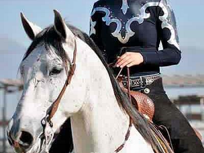 
                      
                        Prado Equestrian Center
                      
                    