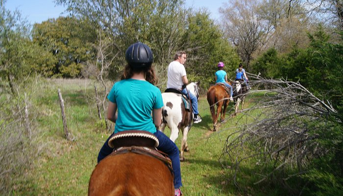 Draggin' H Ranch Group
