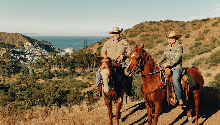 Catalina Island Horseback Adventures