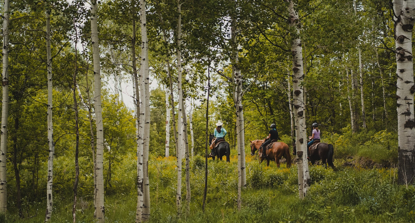 Sundance Mountain Resort Horseback Riding