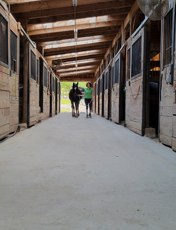 Boston Equestrian Center