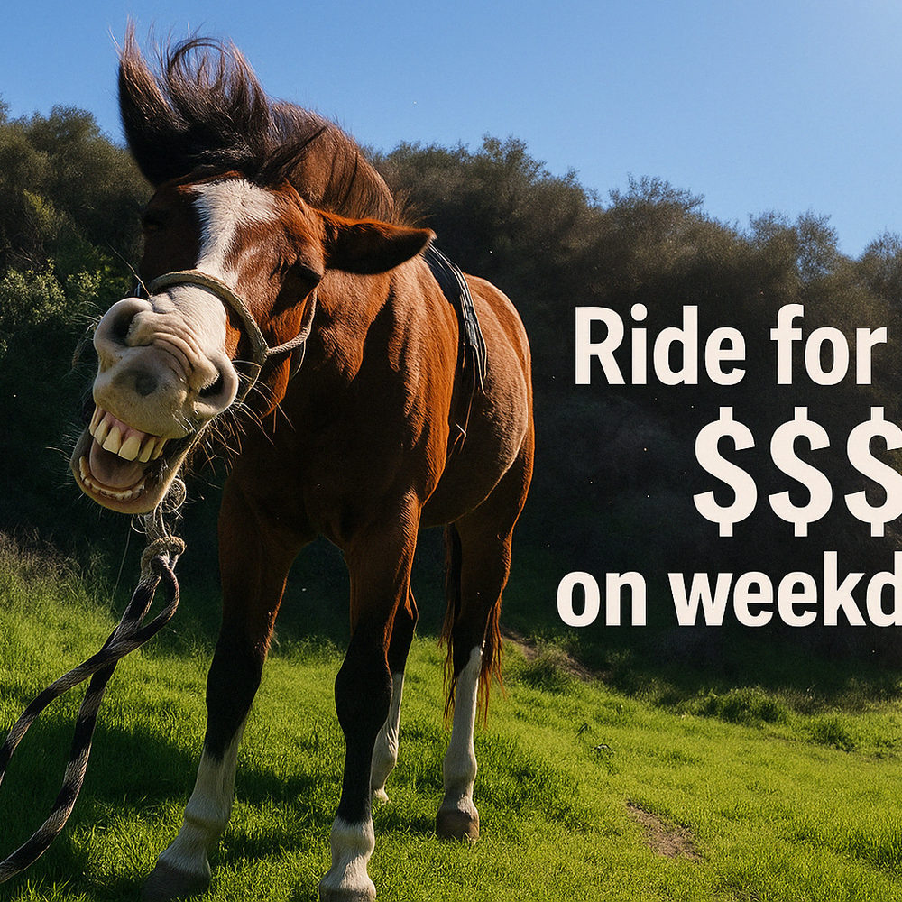 Sunset Ranch: Hollywood Trail Horseback Riding Tour
