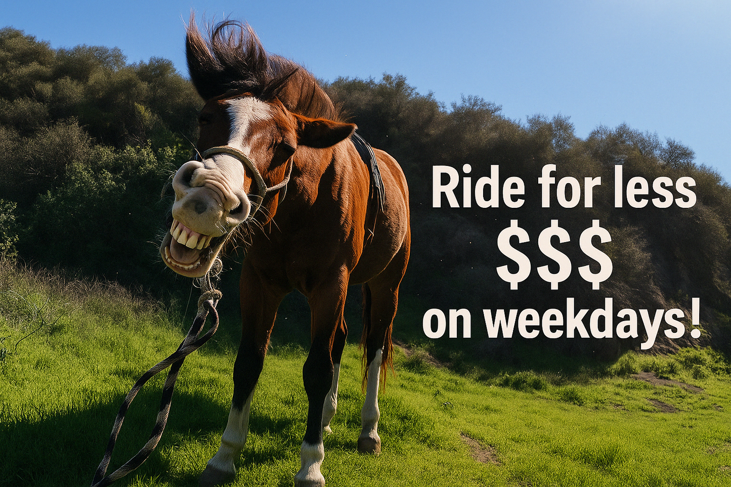 Sunset Ranch: Hollywood Trail Horseback Riding Tour