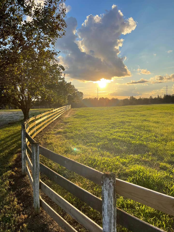 
                      
                        Liberty Stable & Camp
                      
                    