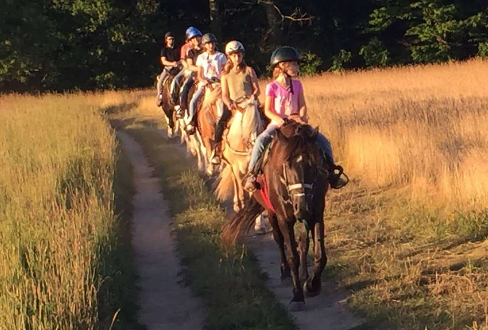 Carousel Horse Farm