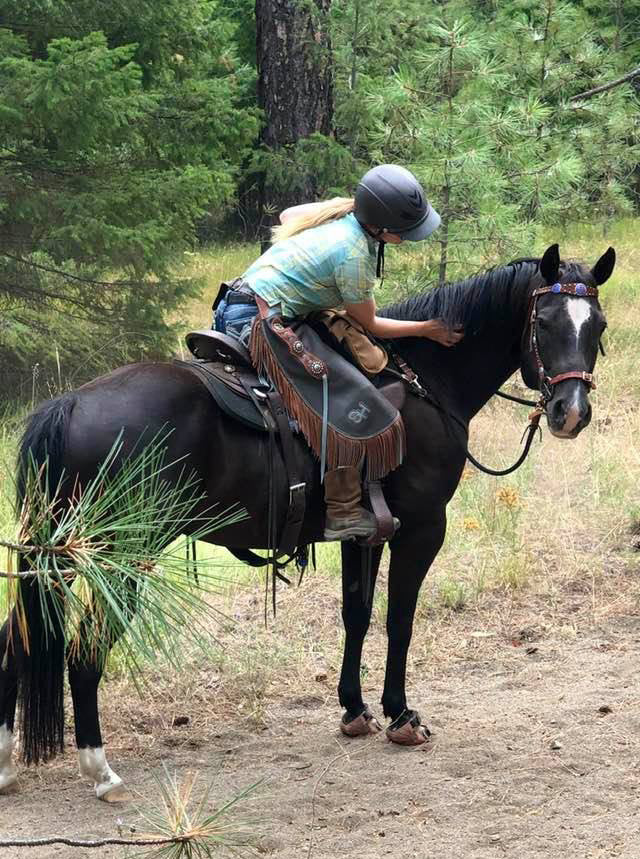 The Wooden Horse Llc