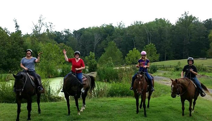 
                      
                        Tamarack Stables
                      
                    