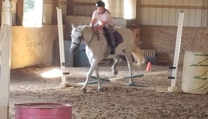 
                      
                        Tamarack Stables
                      
                    