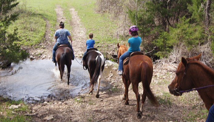 Draggin' H Ranch Group