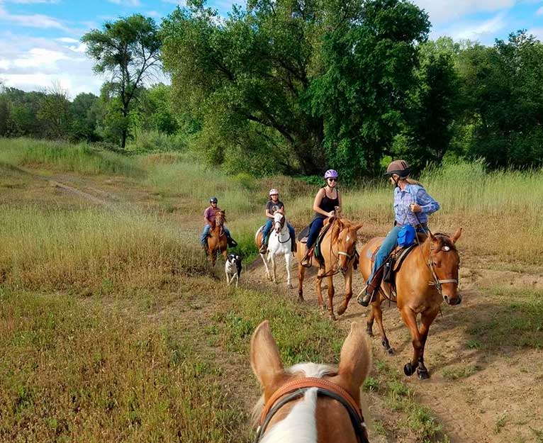 NorCal Trail Rides