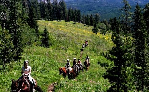 
                      
                        Specimen Creek Outfitters
                      
                    
