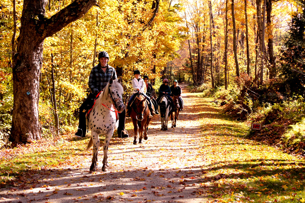 Trail Rides in Vermont