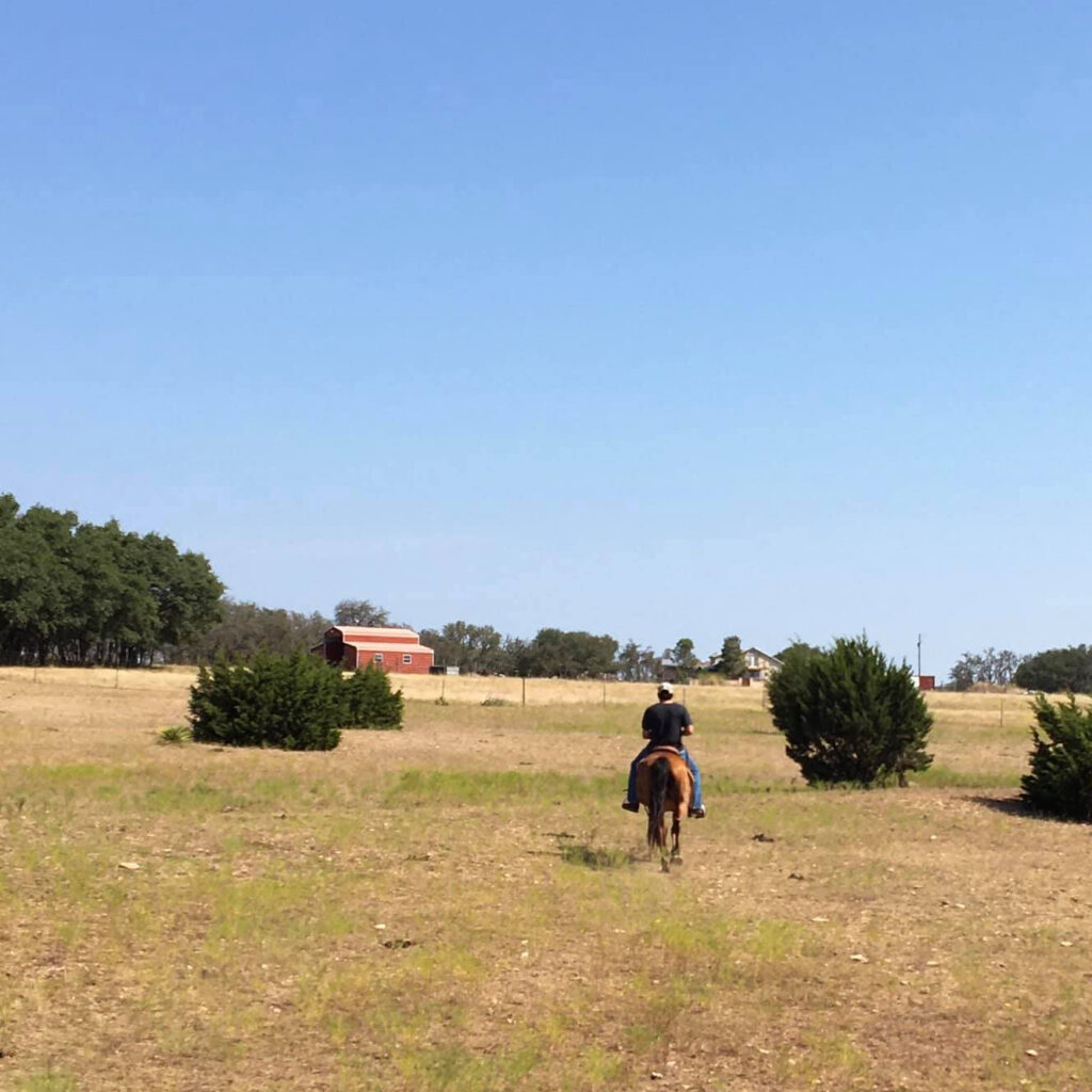 Bit & Bridle Stables