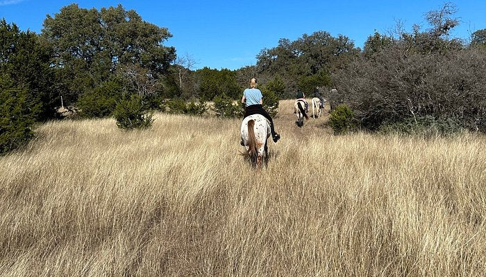 
                      
                        Cross G Ranch Trail Rides
                      
                    