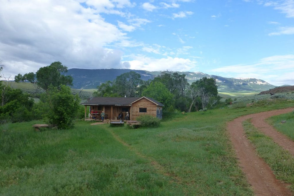 
                      
                        TX Ranch Barn Stables
                      
                    
