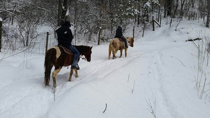 Smoky Mountain Trail Rides and Bison Farm