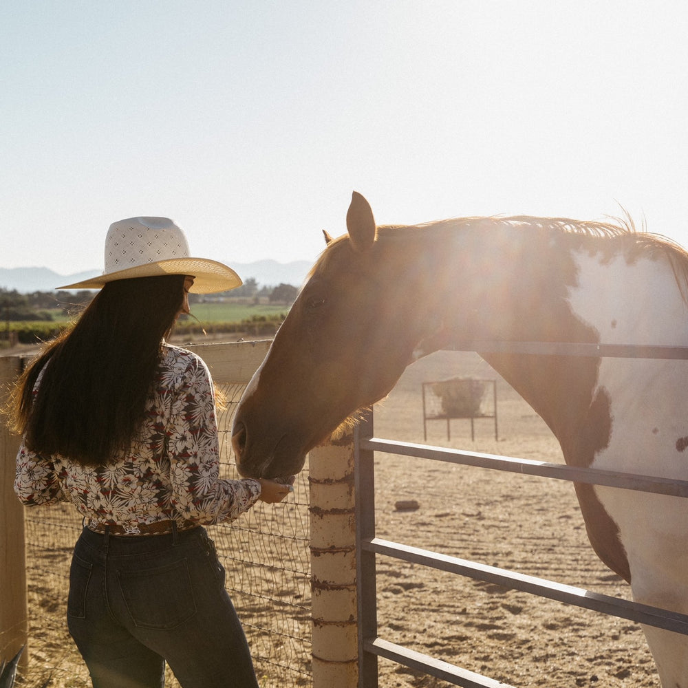 
                      
                        Santa Barbara: Horseback Riding and Wine Tasting Tour
                      
                    