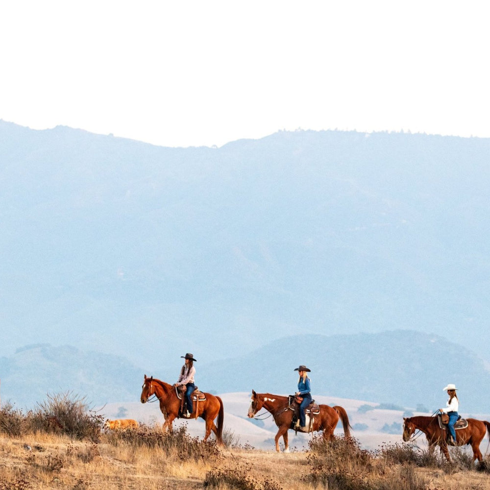 Santa Barbara: Horseback Riding and Wine Tasting Tour
