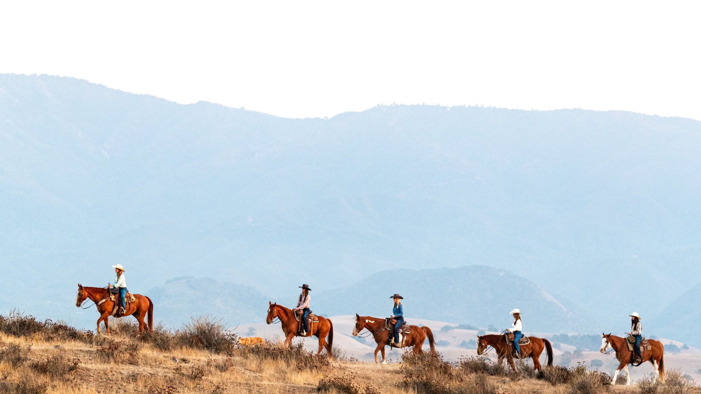 Santa Barbara: Horseback Riding and Wine Tasting Tour
