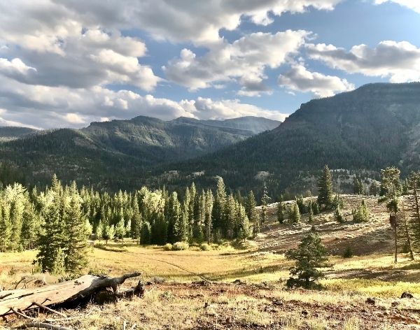 Shoshone Lodge and Guest Ranch