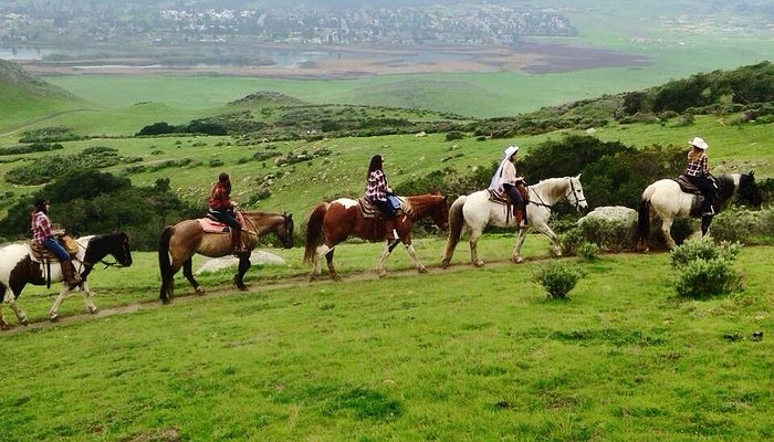 Madonna Inn Trail Rides