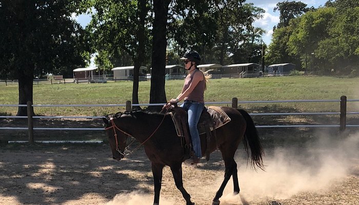 
                      
                        Lake Fork Stables
                      
                    