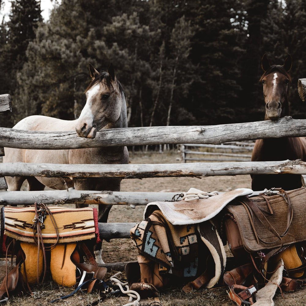 Red Horse Riding Company