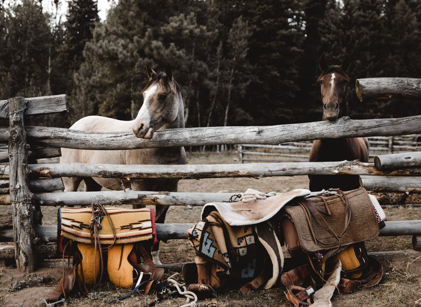 Red Horse Riding Company