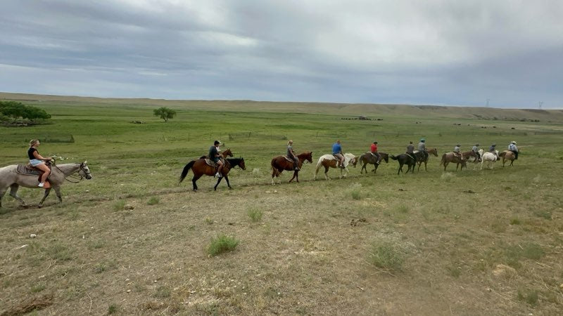 
                      
                        Terry Bison Ranch Resorts
                      
                    